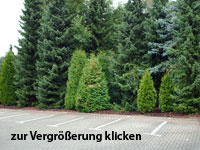 Parkplatz-Reinigung